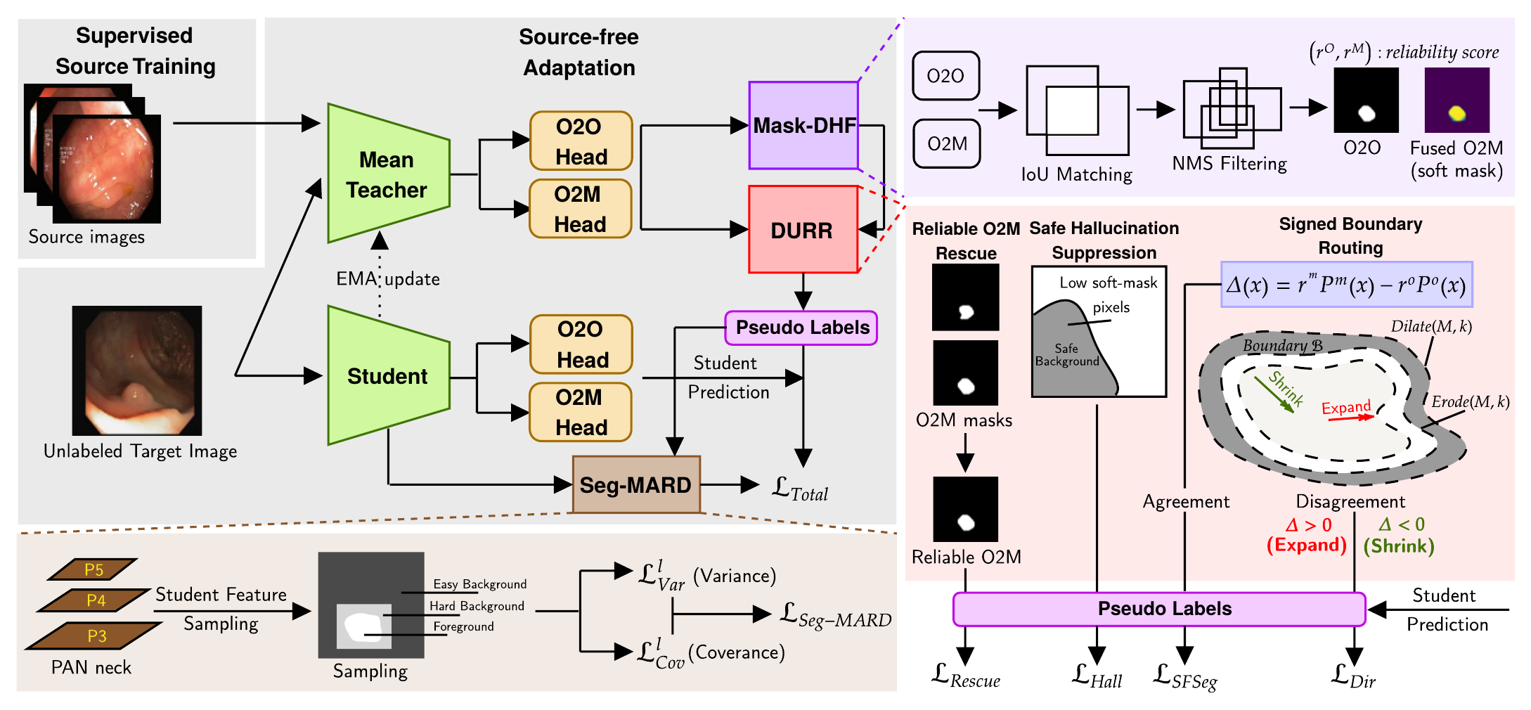 Overview of MedRT-SFSeg: a source-trained dual-head segmentation model is adapted to the target domain with AdaBN and Mean-Teacher self-training, using Mask-DHF, DURR and Seg-MARD.